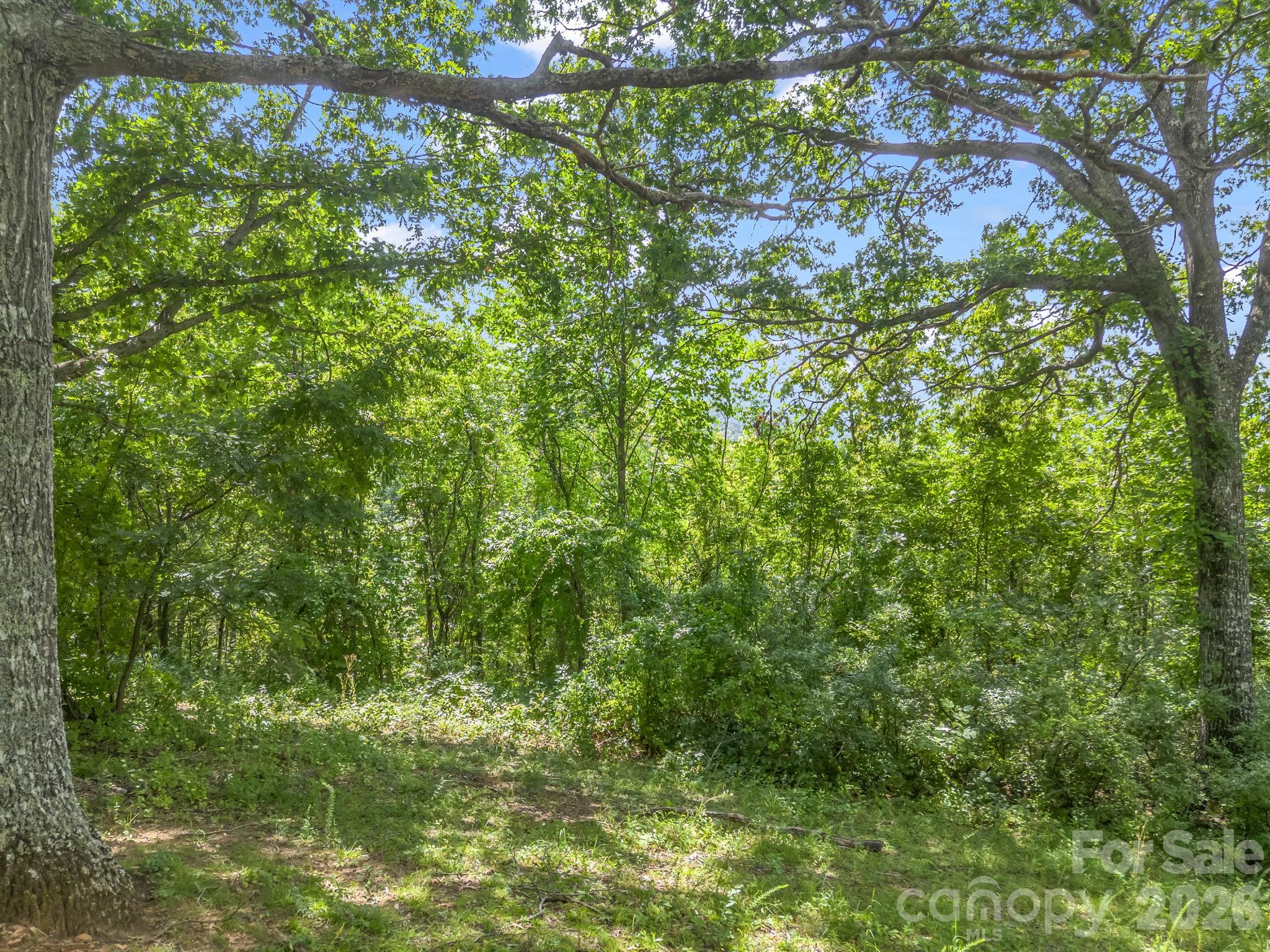 61 Sugar Maple Drive Property Photo 1