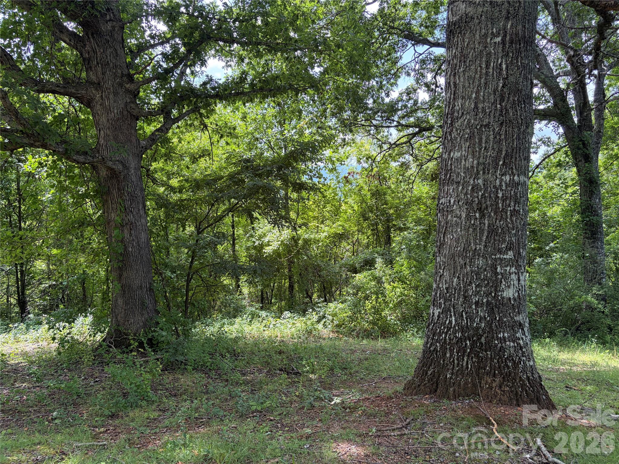 61 Sugar Maple Drive Property Photo 2