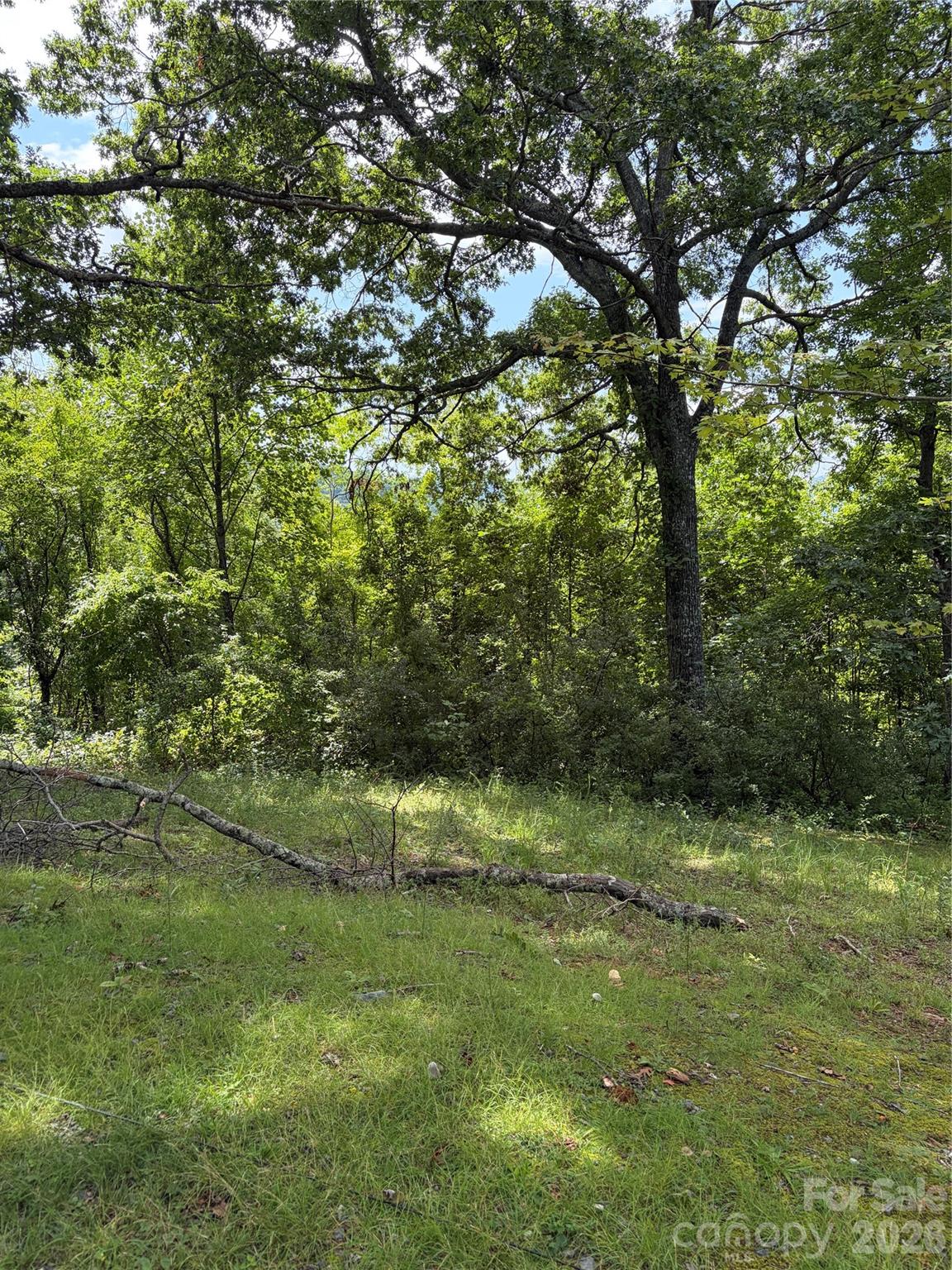 61 Sugar Maple Drive Property Photo 4