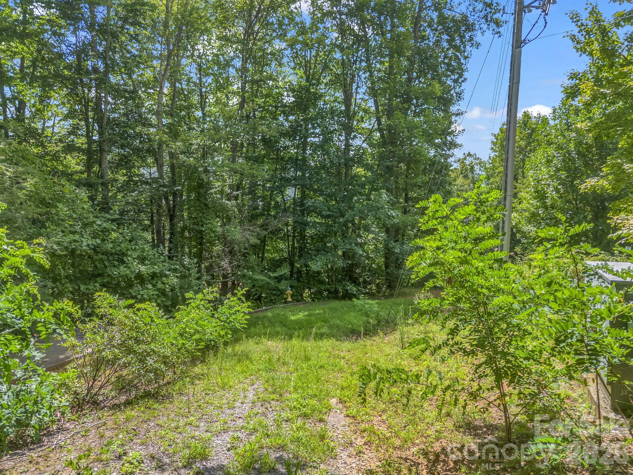 61 Sugar Maple Drive Property Photo 8