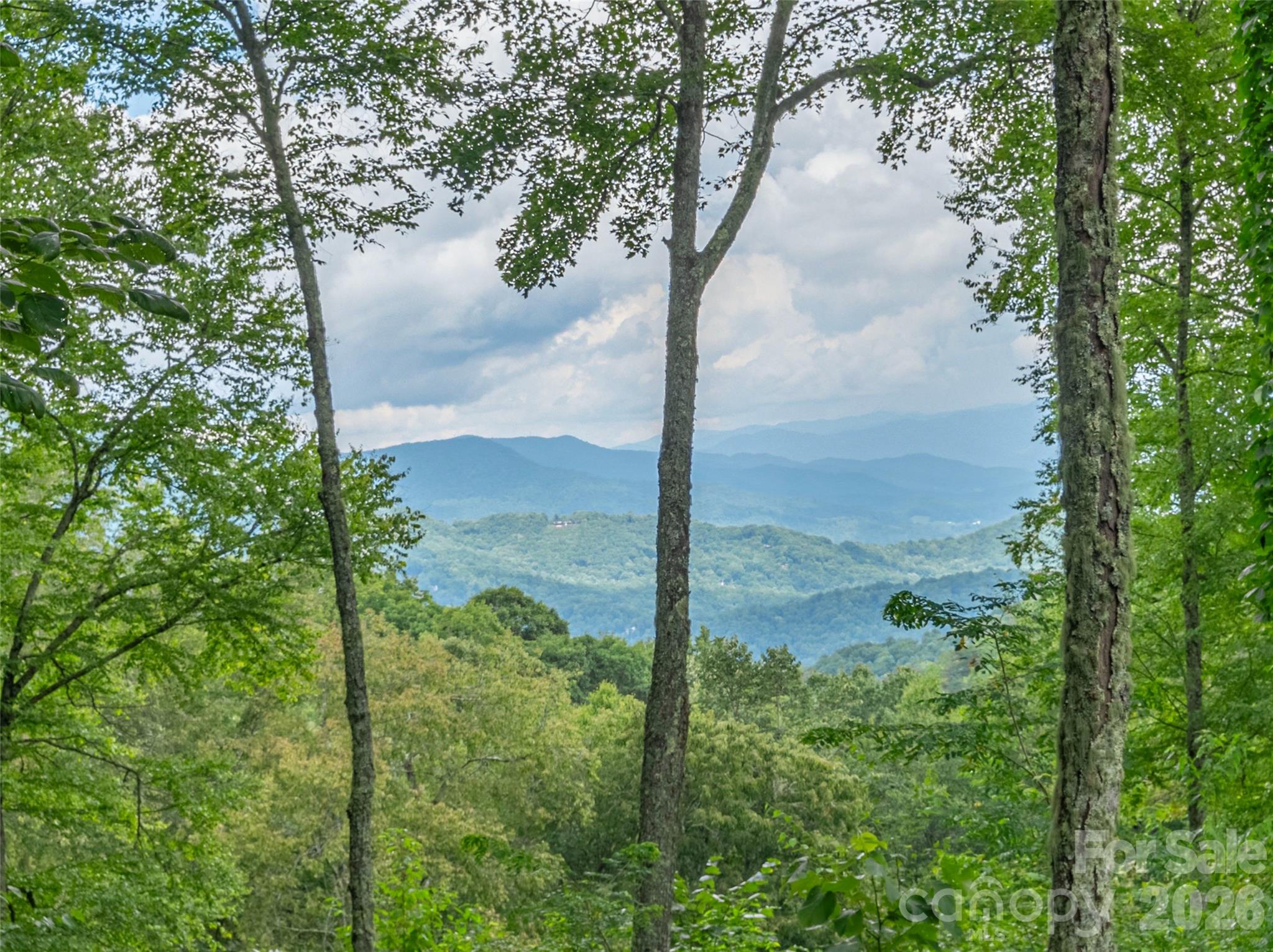 332 Gadohi Trail Property Photo 3