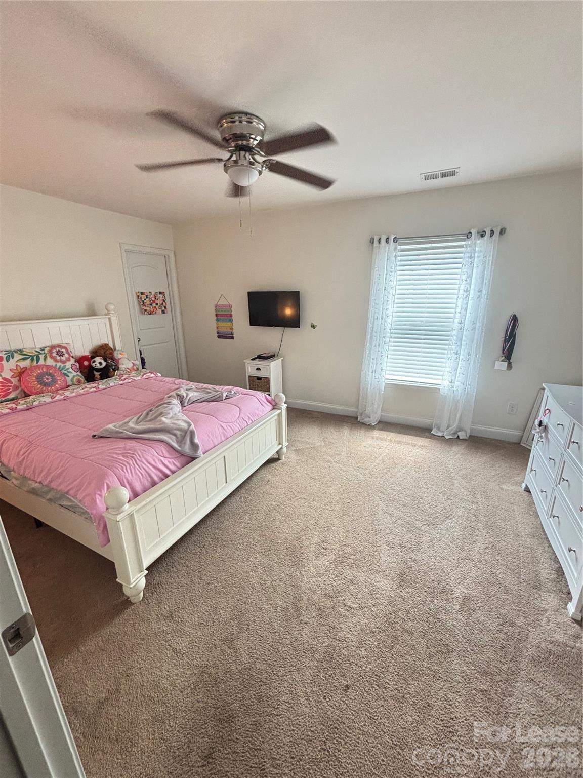 3176 Keady Mill Loop Property Photo 19
