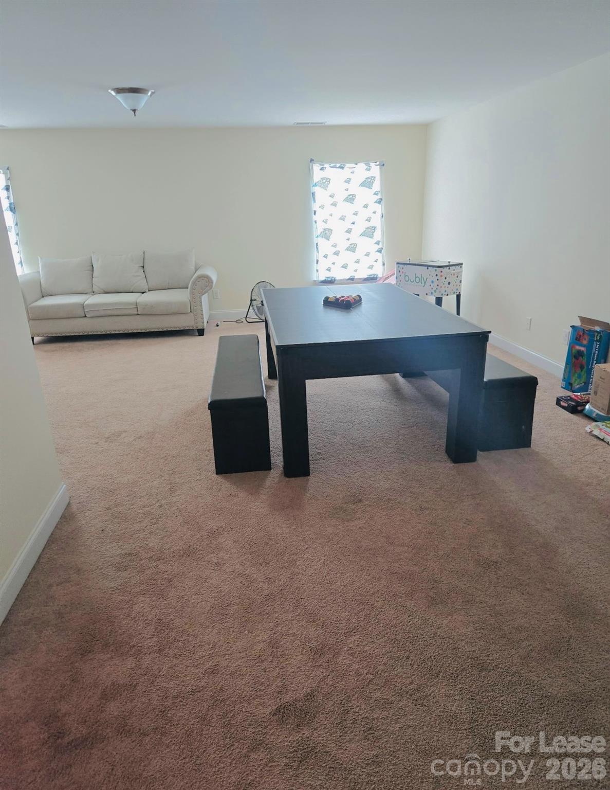 3176 Keady Mill Loop Property Photo 28