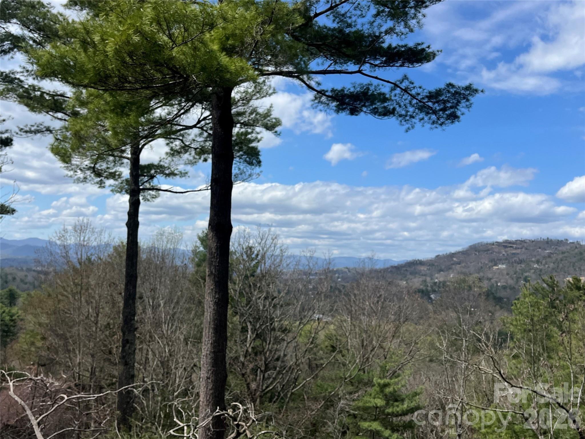 2902-a Timber Trail Property Photo 3