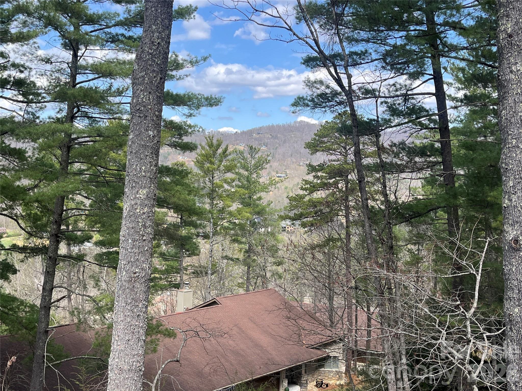 2902-a Timber Trail Property Photo 4