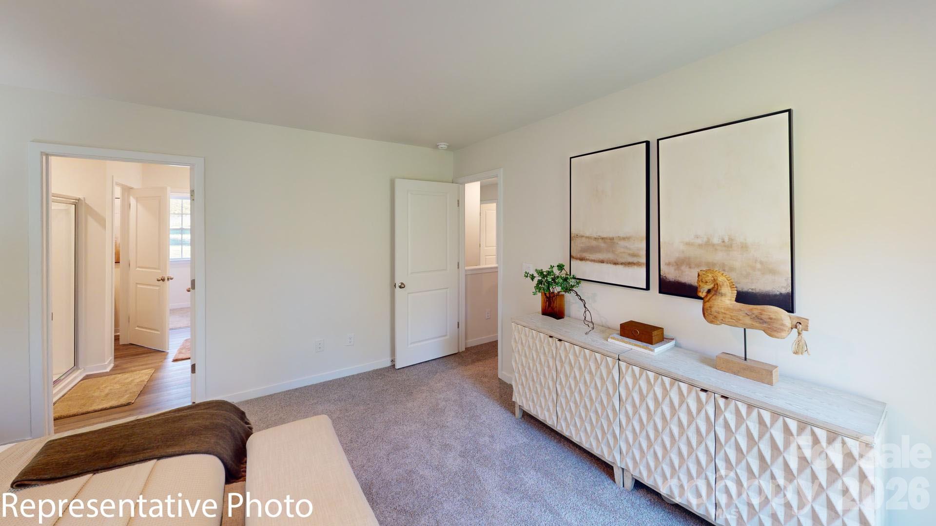 2808 Frances View Lane Property Photo 17