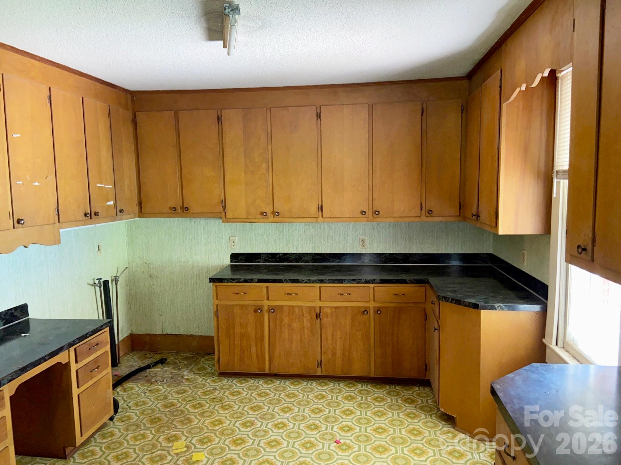 213 Wiley Avenue Property Photo 9