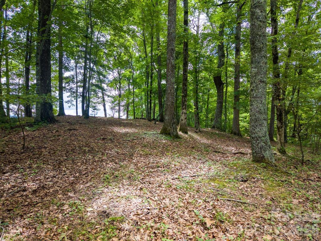 752 Shepherds Gap Road 28 Property Photo 8