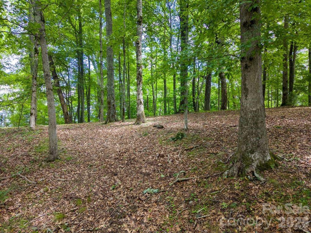 752 Shepherds Gap Road 28 Property Photo 9