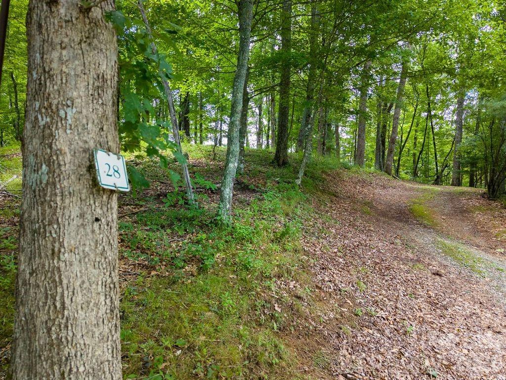 752 Shepherds Gap Road 28 Property Photo 10