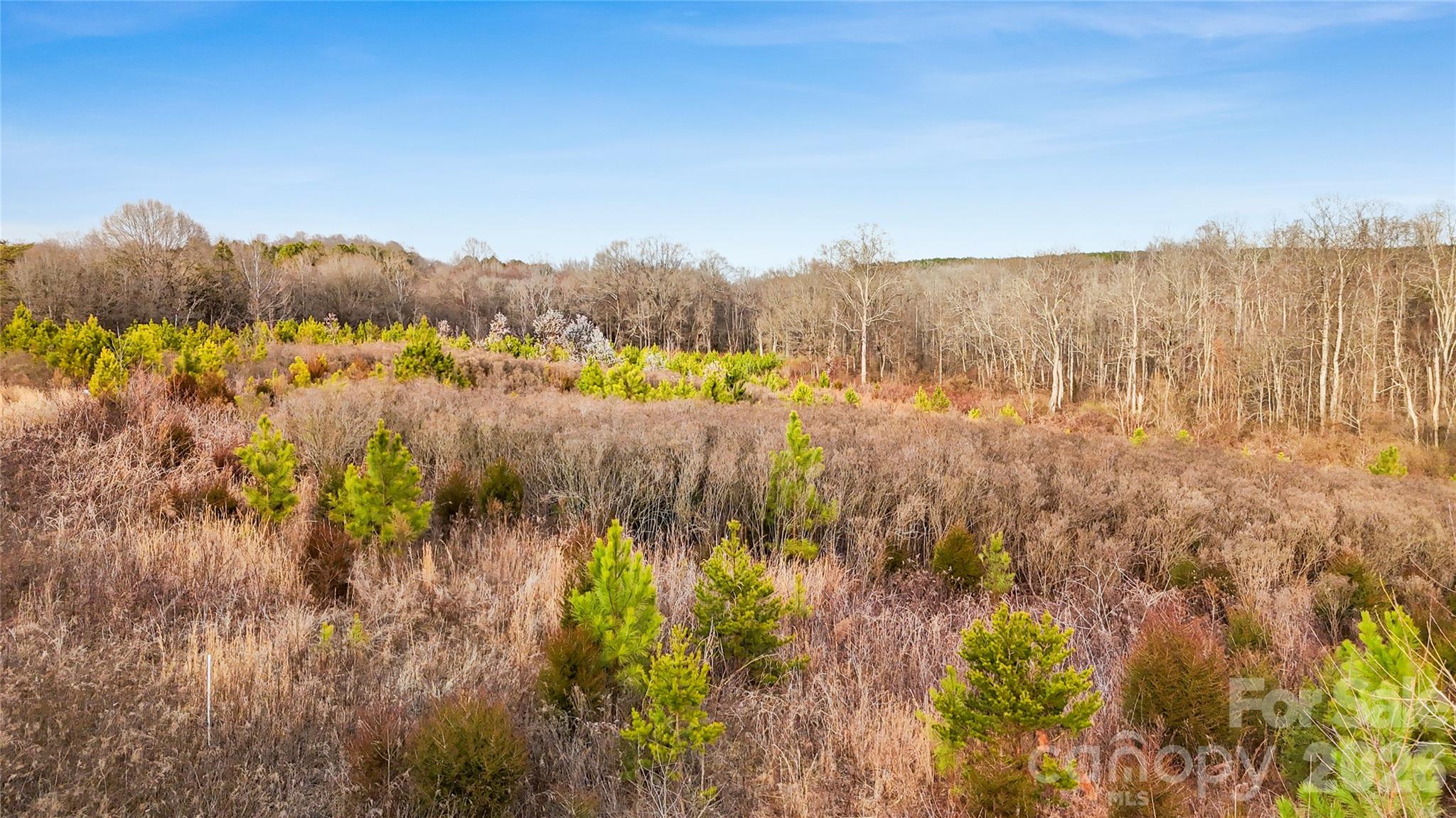 000 River Hill Road Property Photo 3