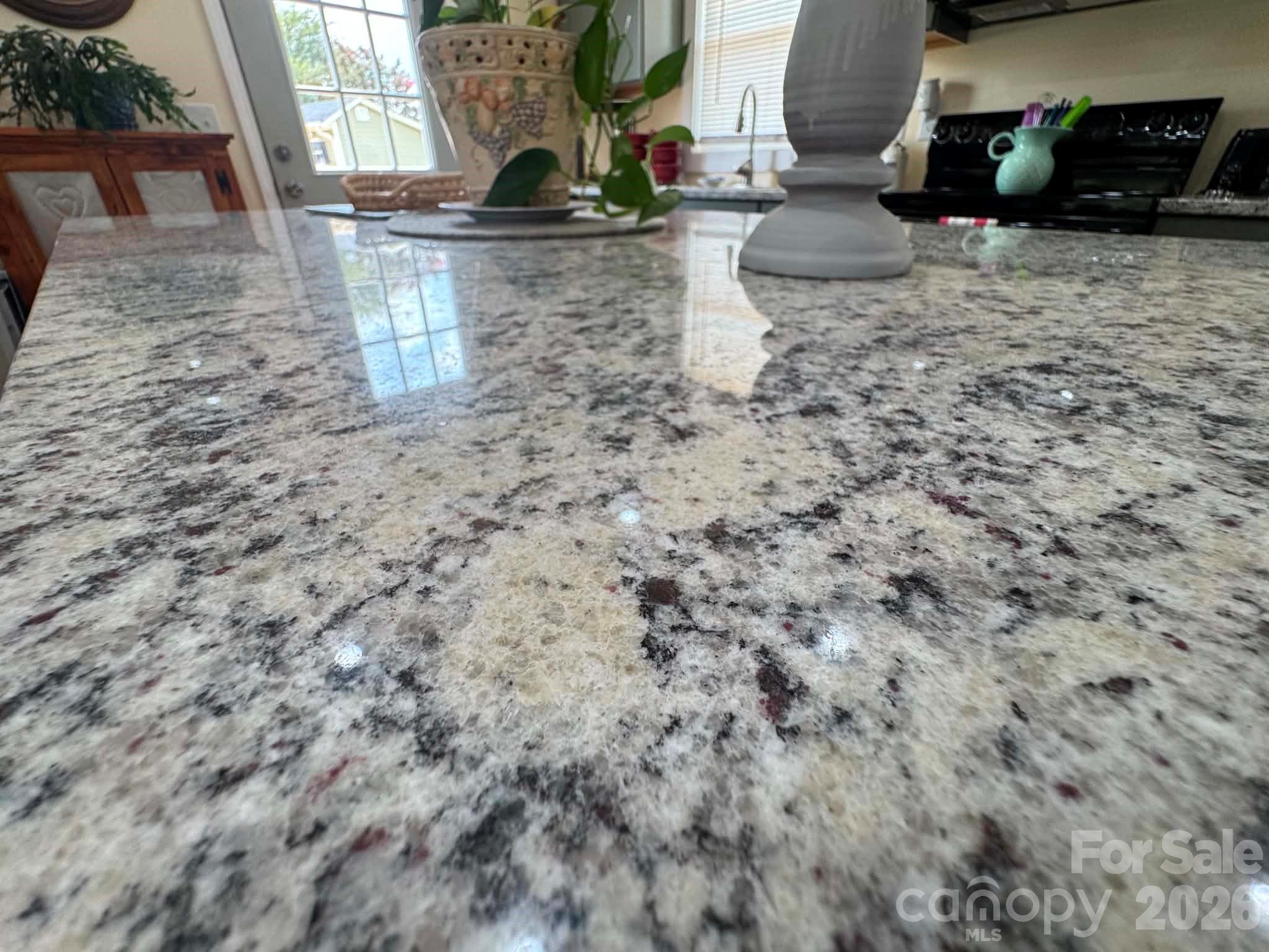 115 Robert Drive Property Photo 14