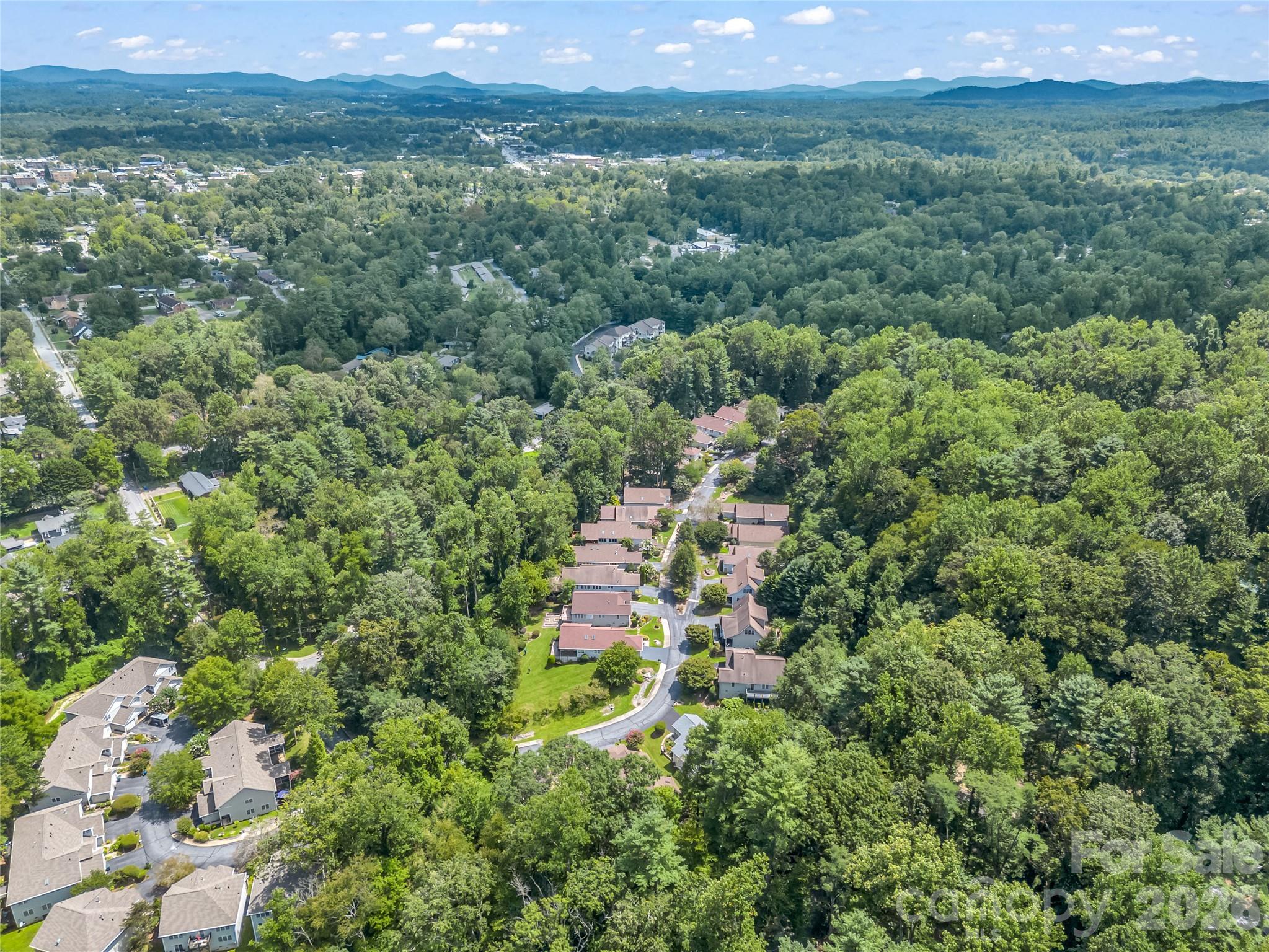 311 Ewarts Hill Road Property Photo 44