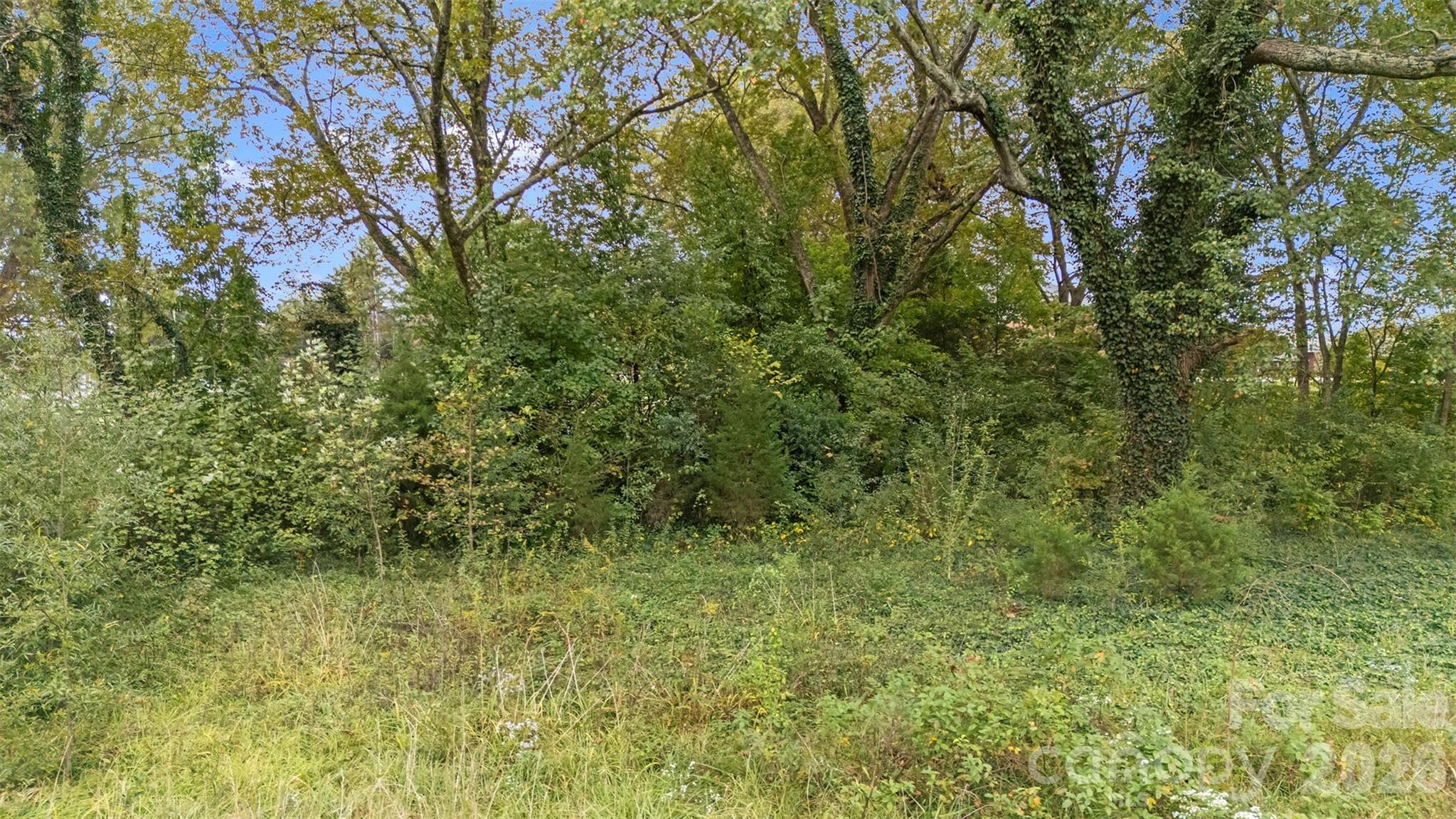 359 Turnersburg Highway Property Photo 13