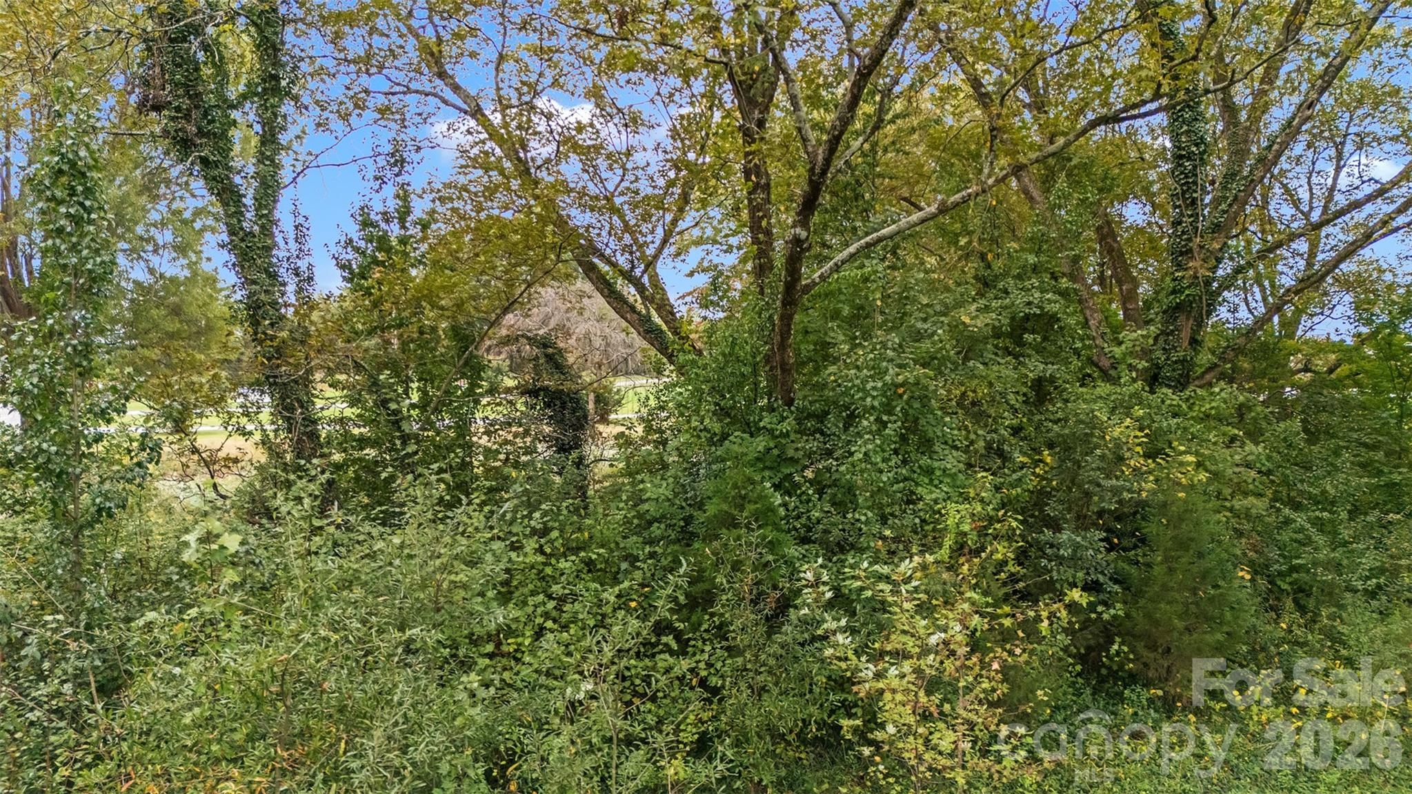 359 Turnersburg Highway Property Photo 15