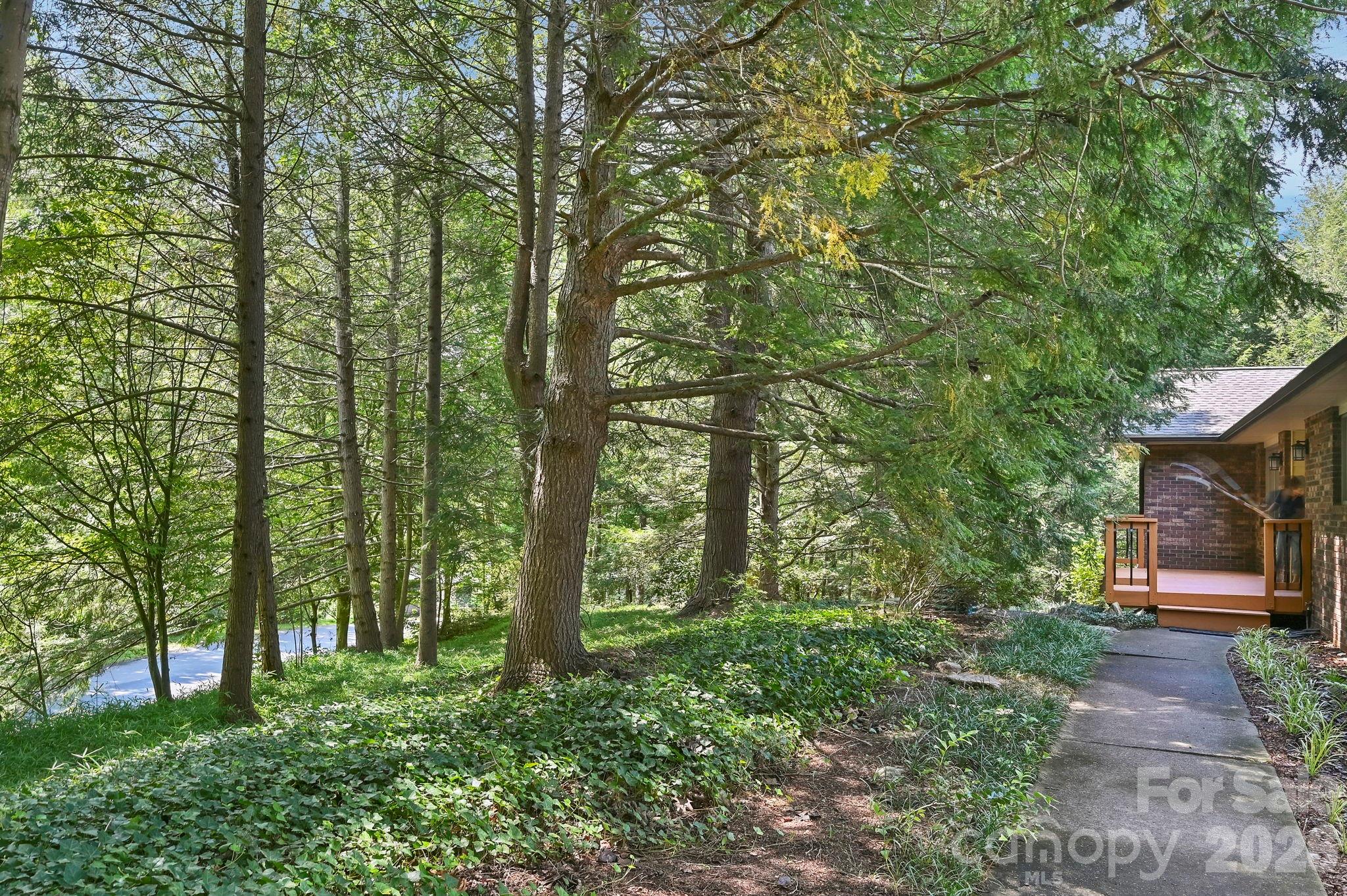 30 Nichols Hill Drive Property Photo 6