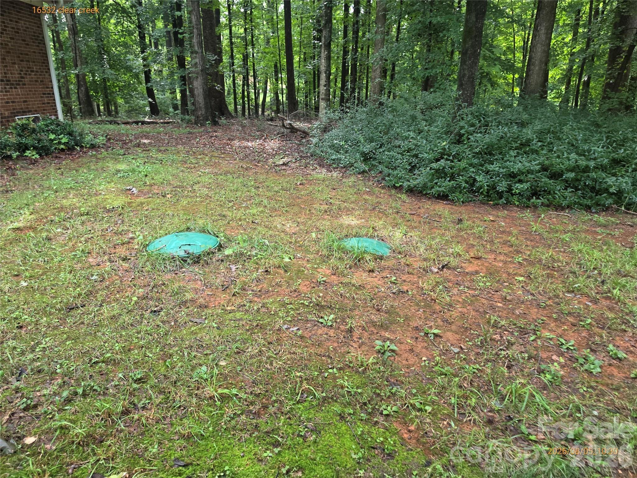 16532 Clear Creek Drive Property Photo 11