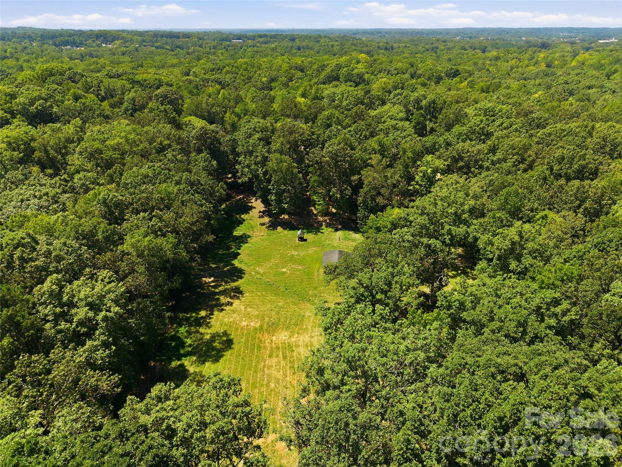 2505 Mountain Folk Lane Property Photo 8