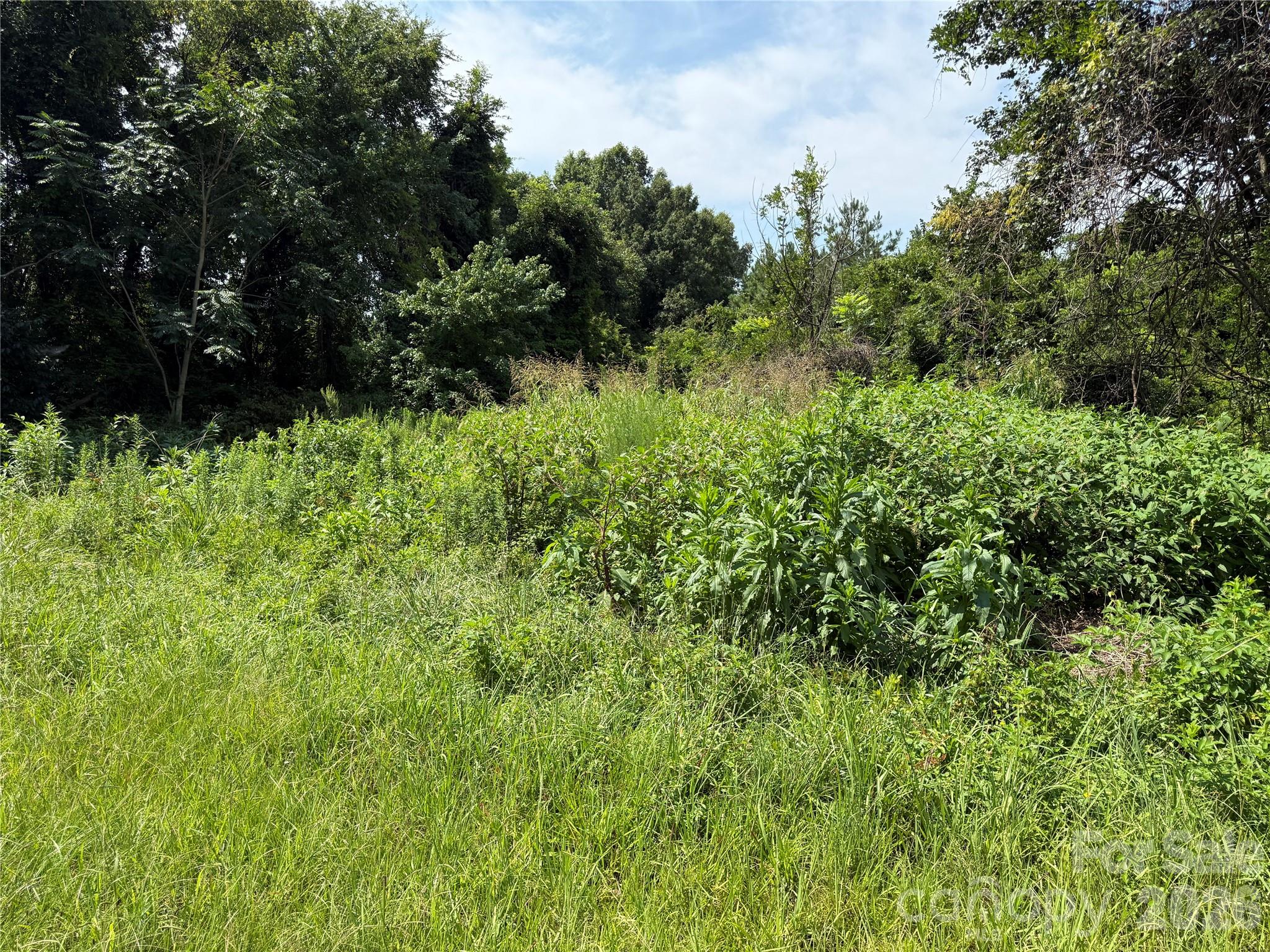 5049-3 Trinity Church Road Property Photo 1