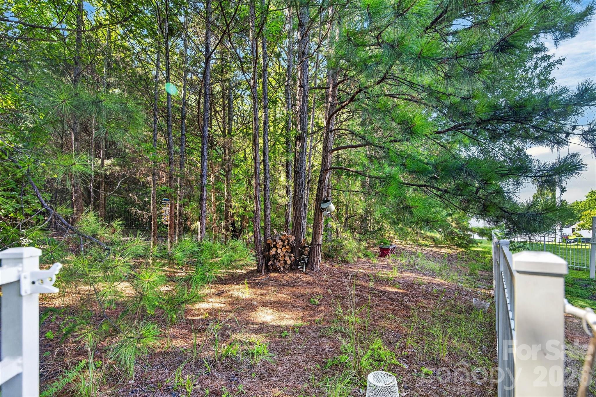 245 Eagle Creek Road Property Photo 10