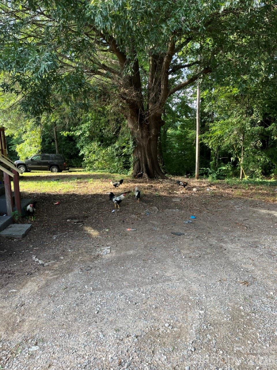 723 Hunt Street Property Photo 20