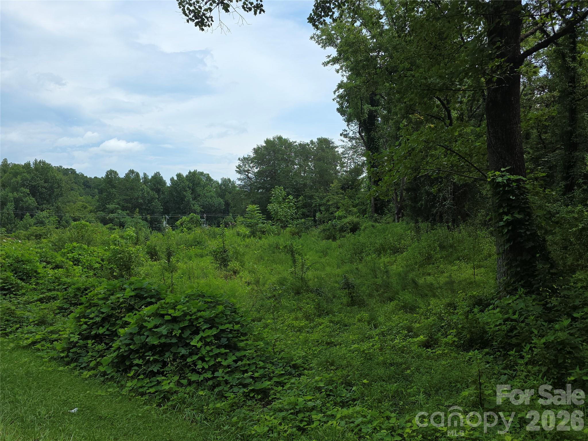 2730 226 Highway Property Photo 8