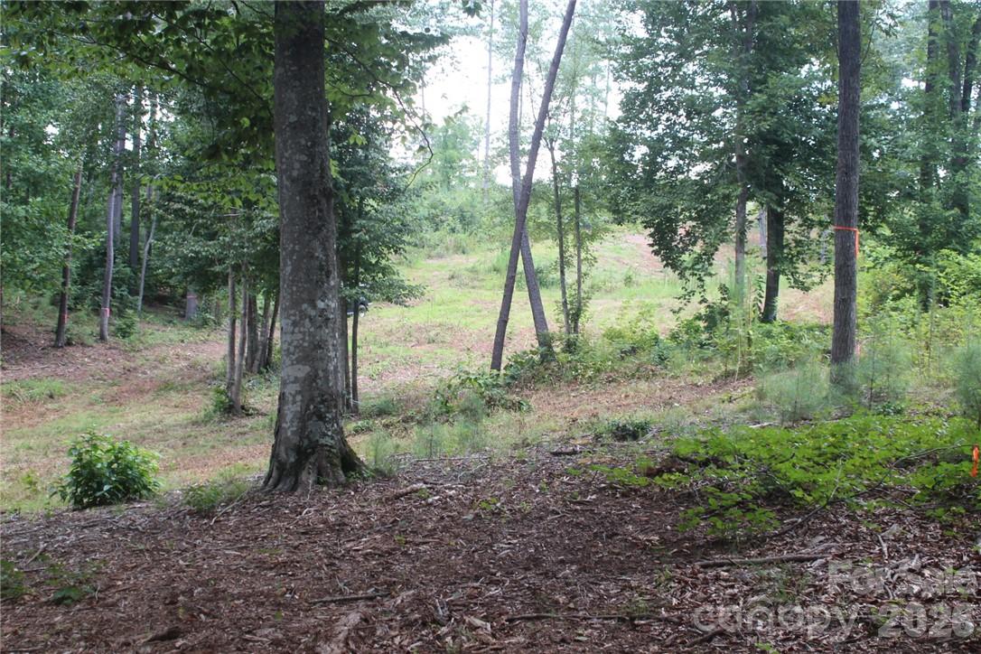 1792 Waters Edge Drive 61 Property Photo 4