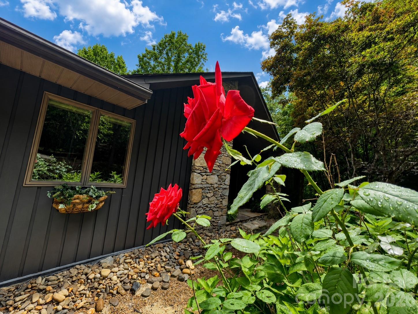 1105 High Vista Drive Property Photo 3
