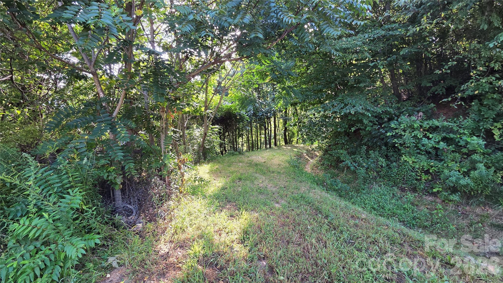 50 Gregory Hill Road Property Photo 19