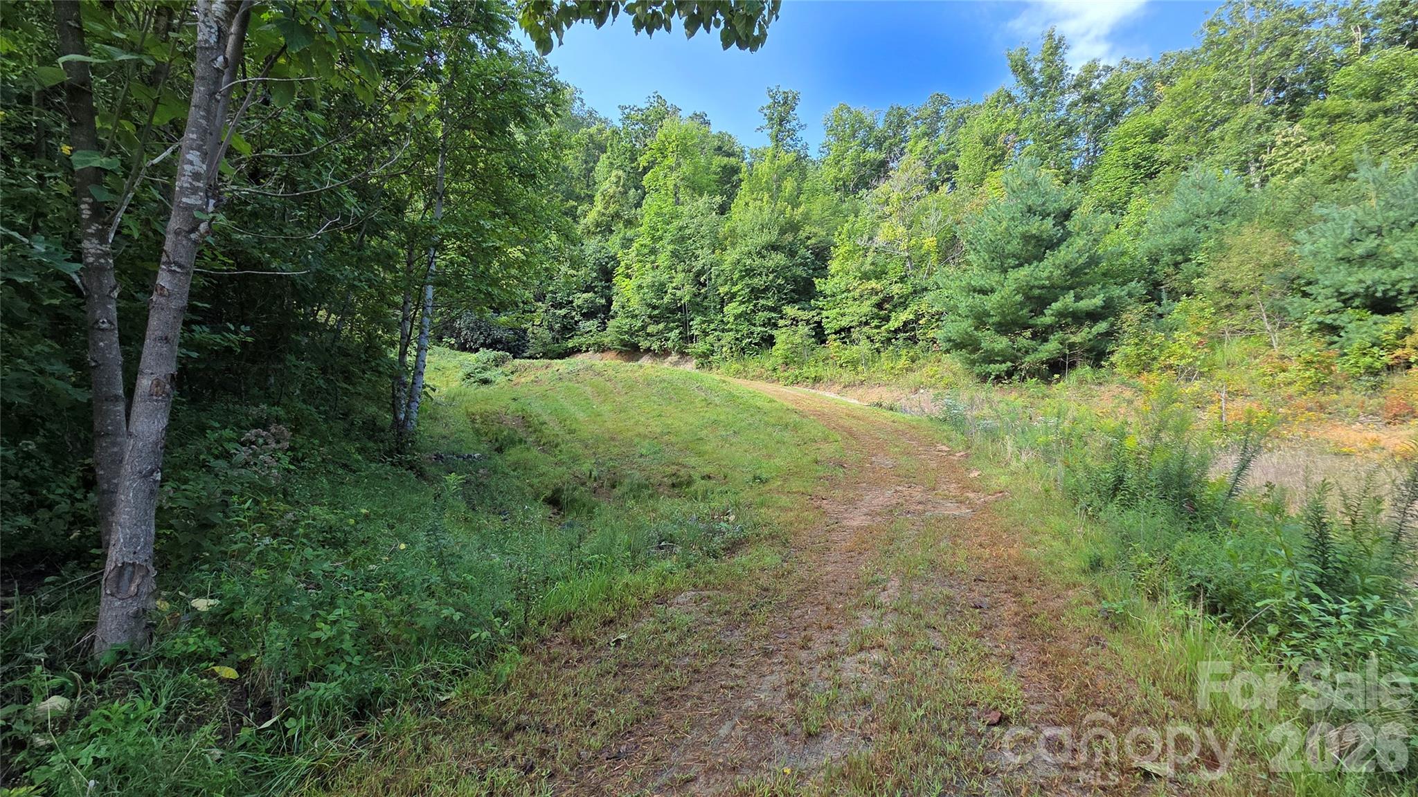 50 Gregory Hill Road Property Photo 23