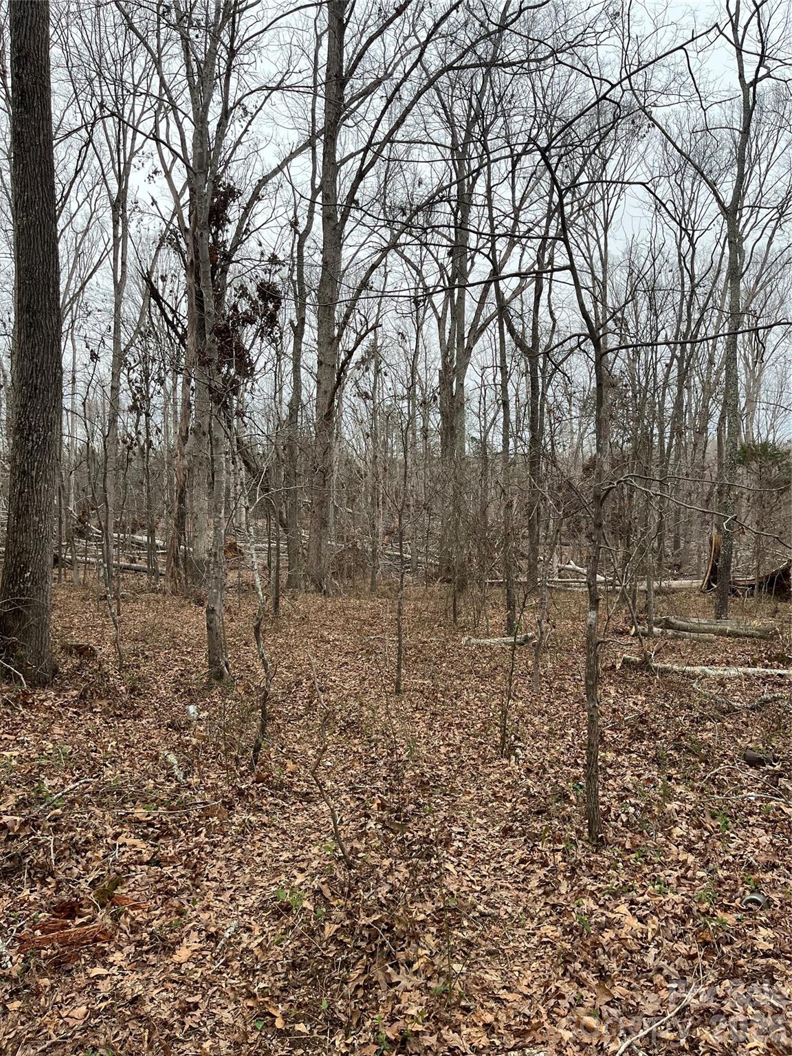 417 Davis Road Property Photo 1