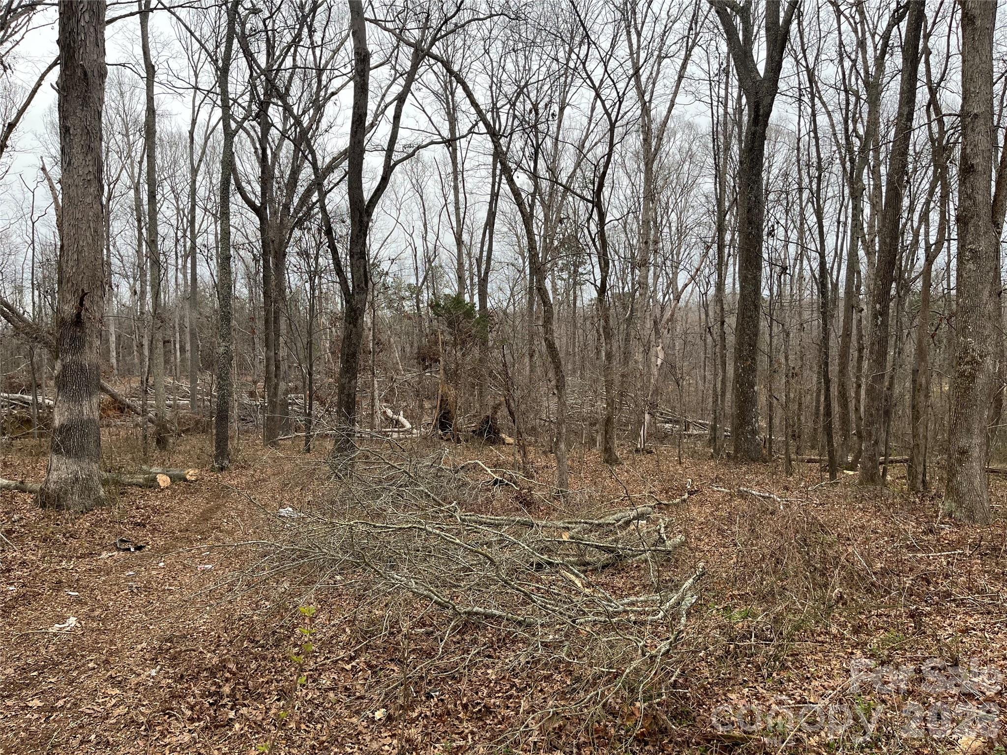 417 Davis Road Property Photo 5