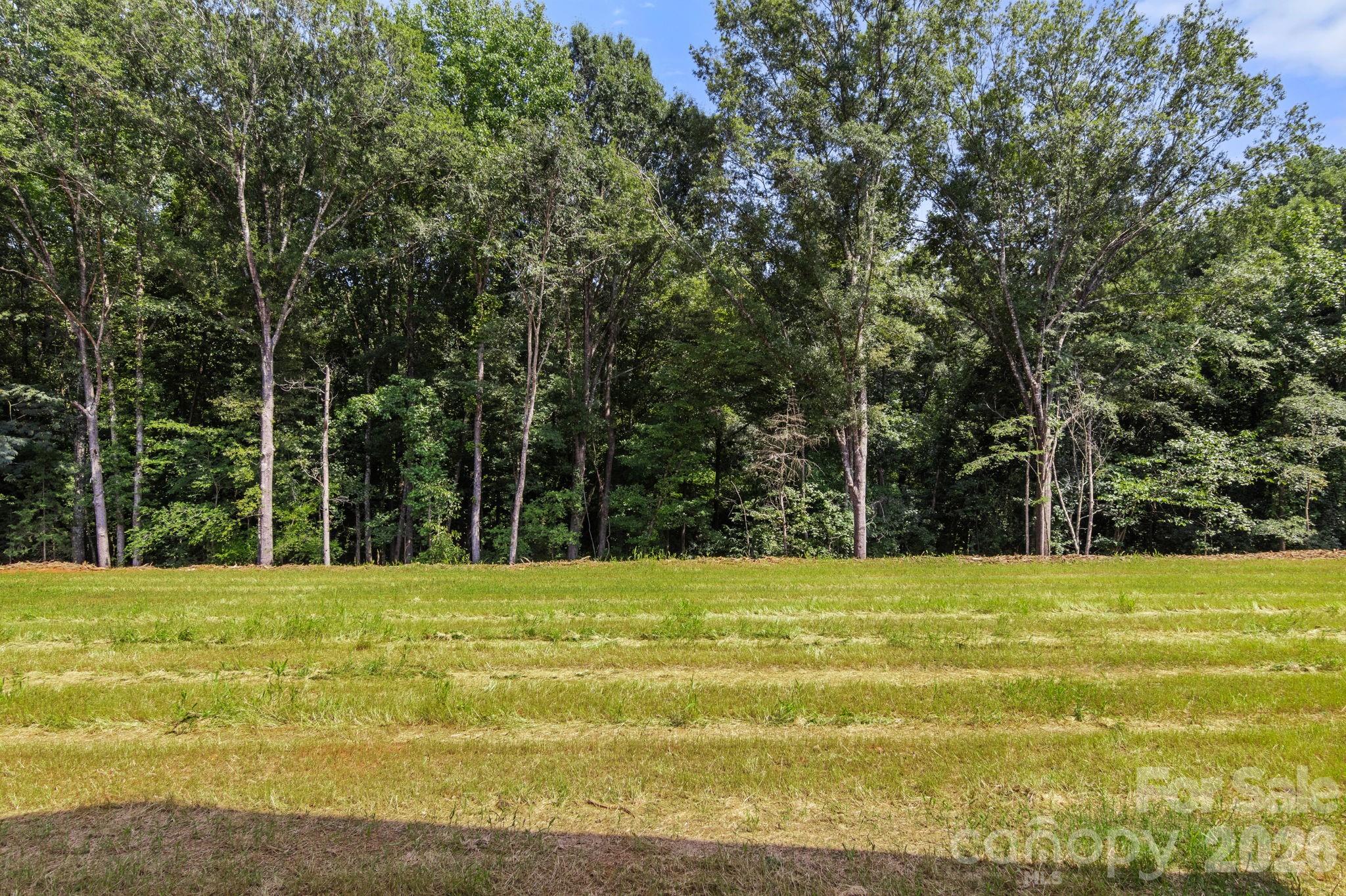 151 Mccorkle Street Property Photo 35