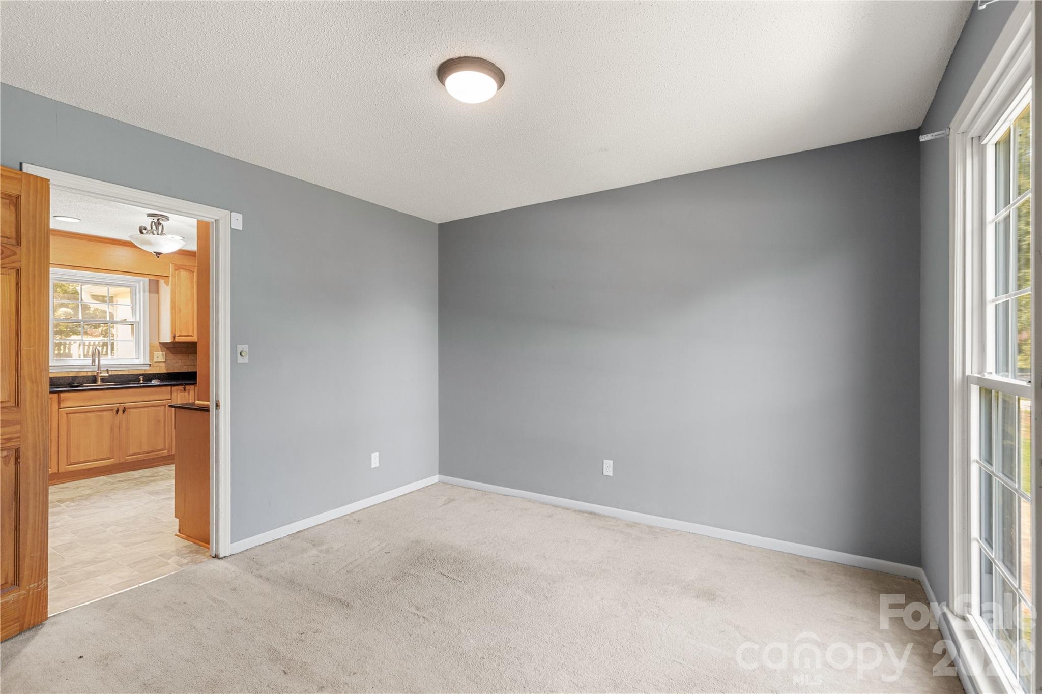 1007 Ragin Lane Property Photo 7