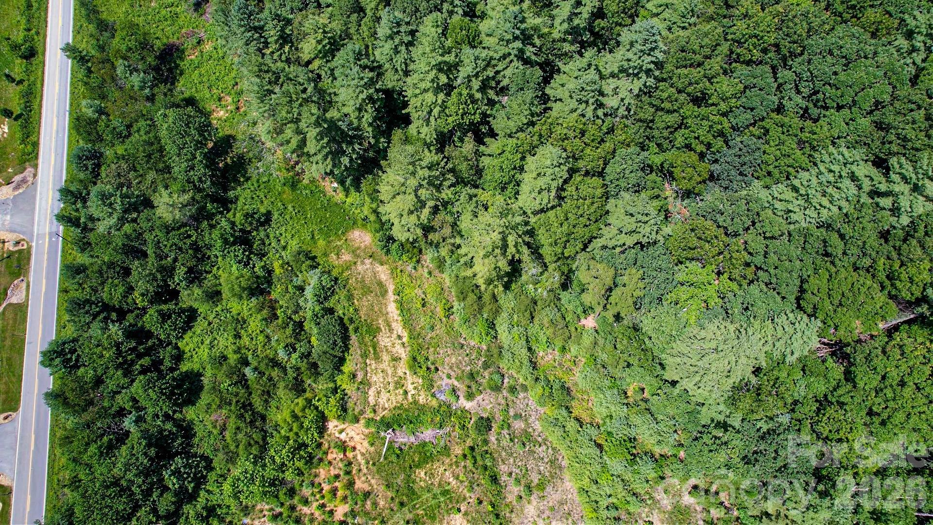 99999 Burney Mountain Road Property Photo 7