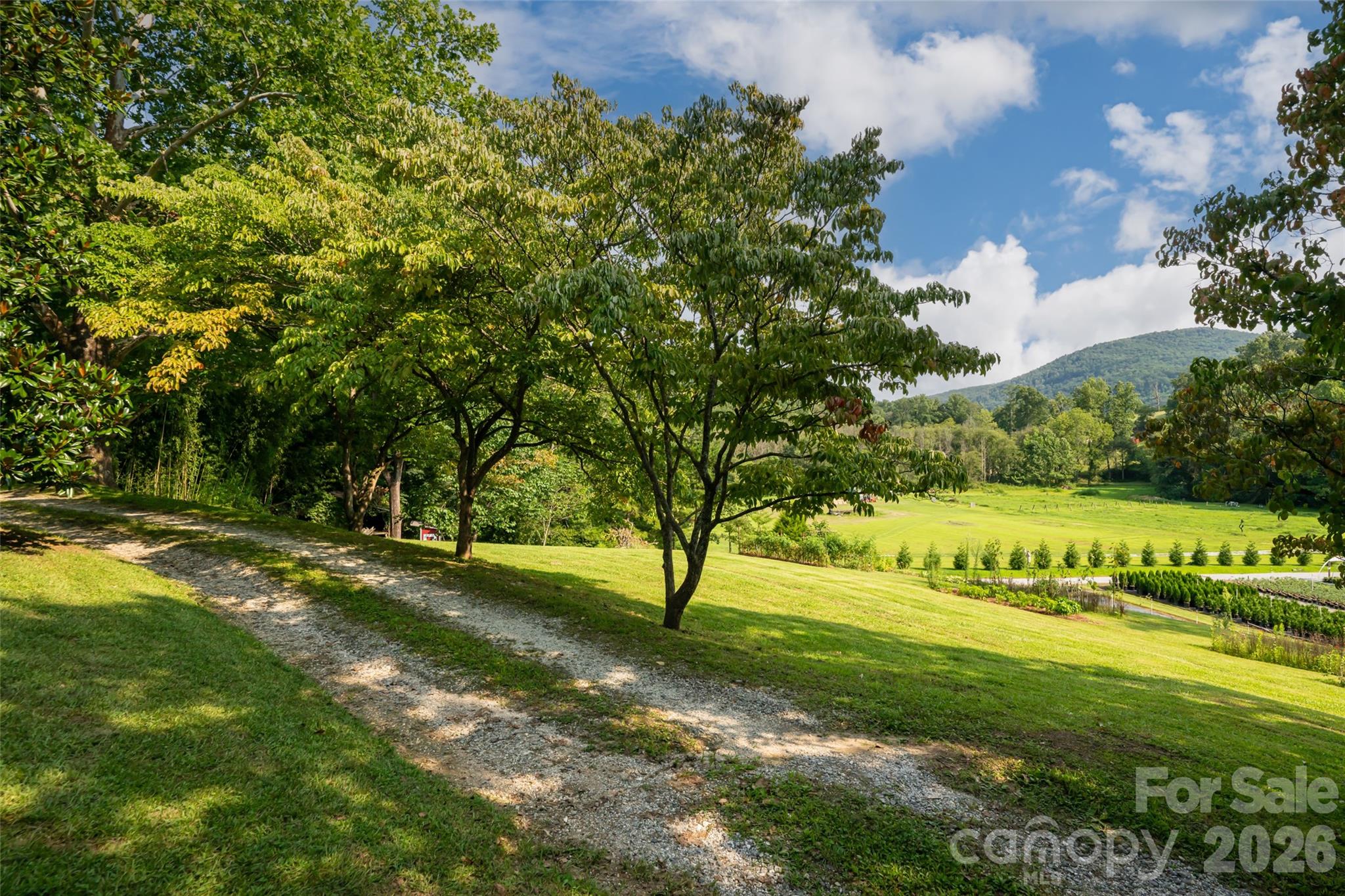 234 Carnelian Drive Property Photo 40