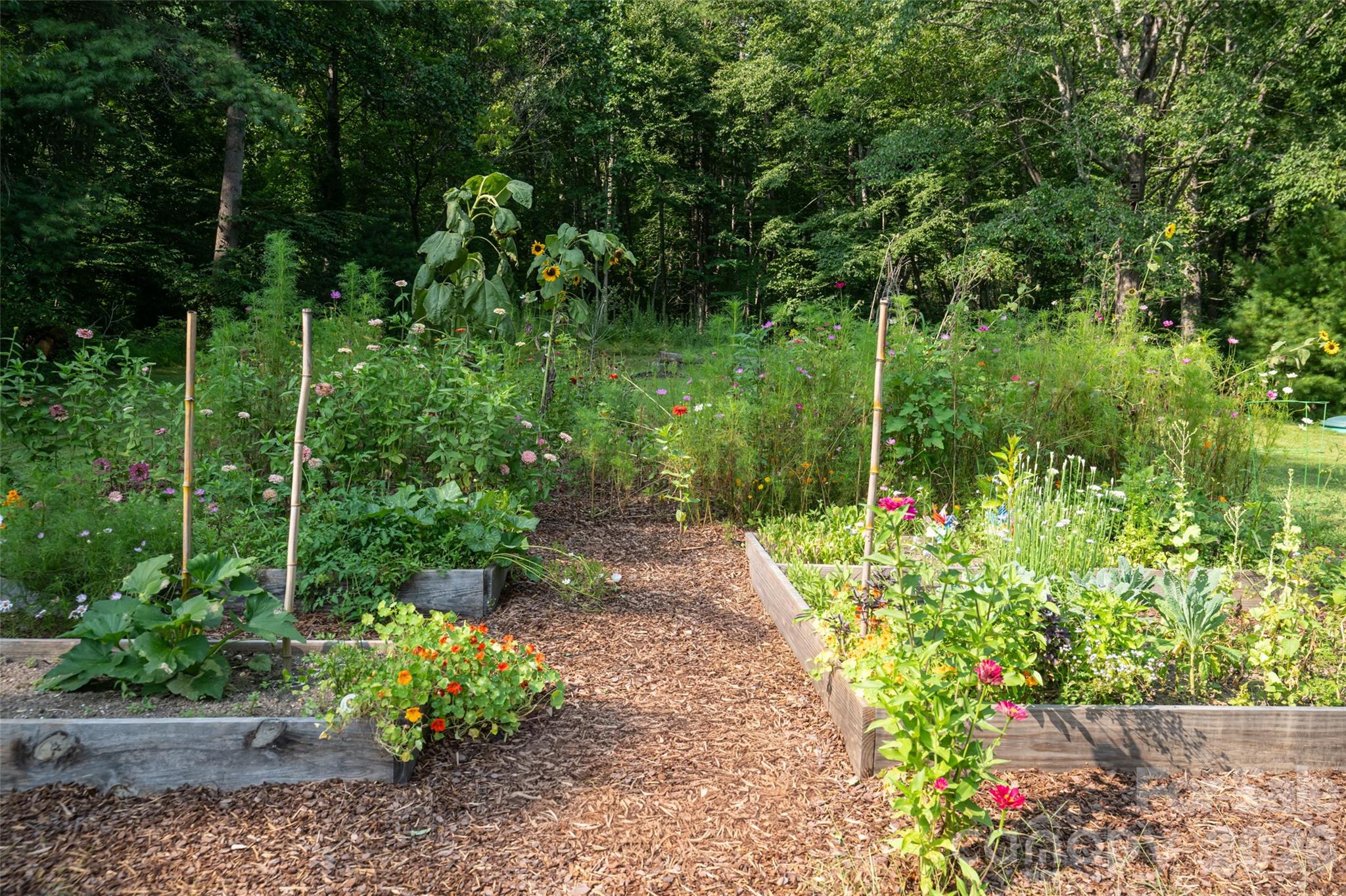 234 Carnelian Drive Property Photo 47
