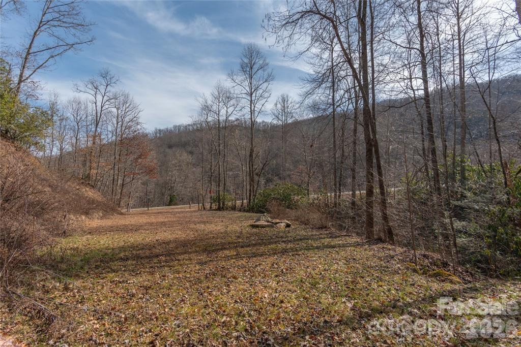2220 Tract 1 Tilley Creek Road Property Photo 3