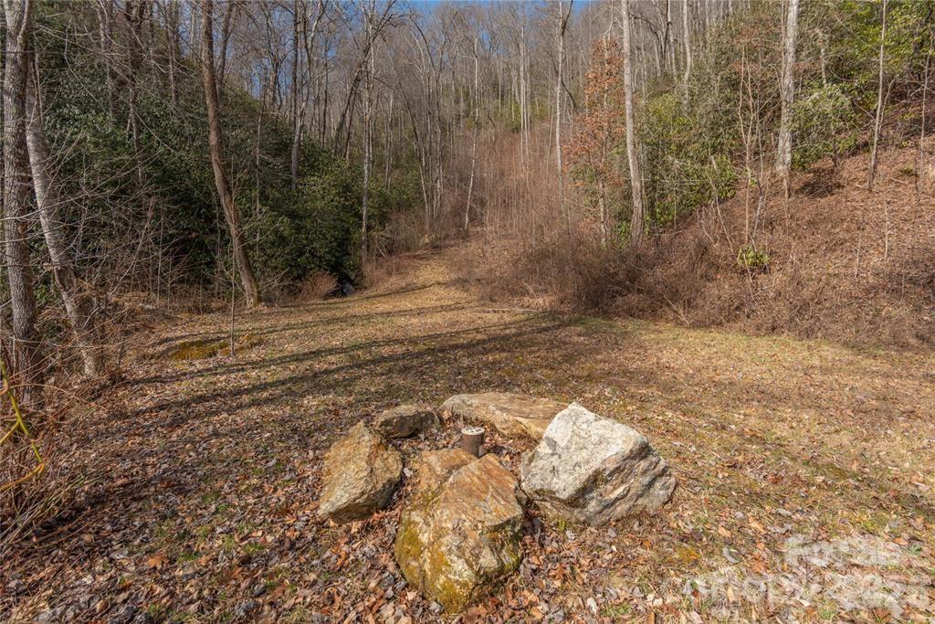 2220 Tract 1 Tilley Creek Road Property Photo 4