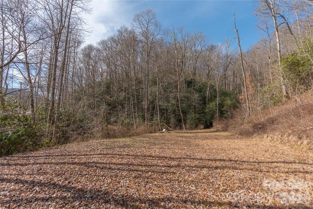 2220 Tract 1 Tilley Creek Road Property Photo 5