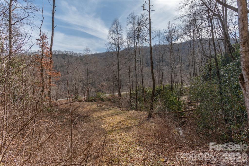 2220 Tract 1 Tilley Creek Road Property Photo 6