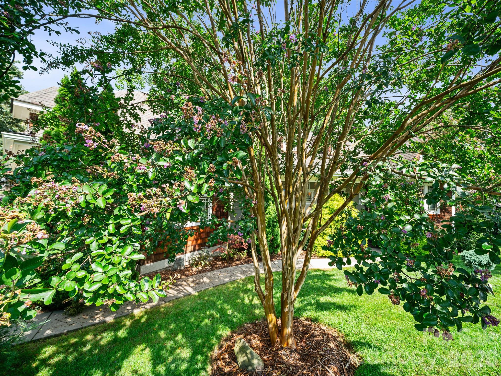 6 Oak Springs Drive Property Photo 32