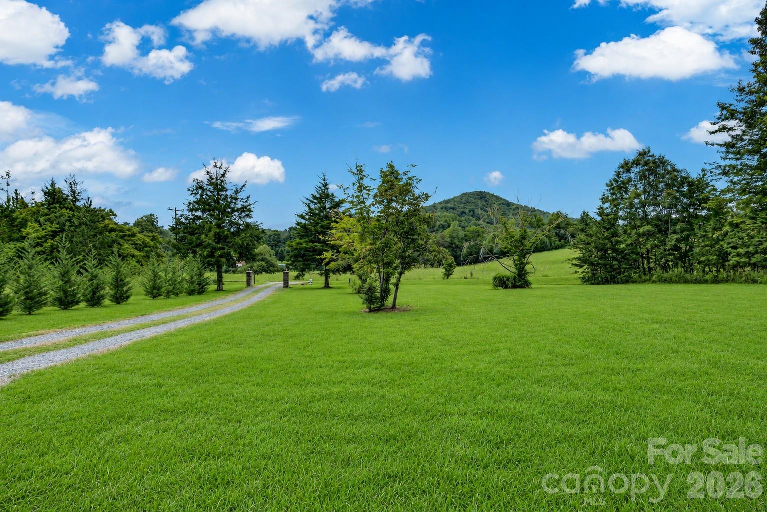 2428 Old Fort Sugar Hill Road Property Photo 39