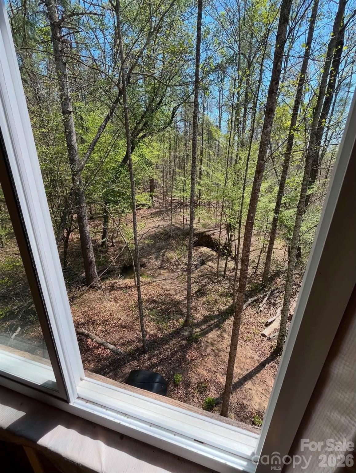 Tbd Wilkesboro Boulevard Property Photo 10