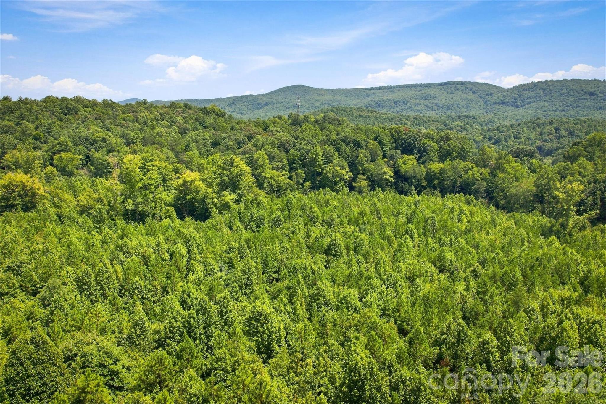 Tbd Wilkesboro Boulevard Property Photo 17