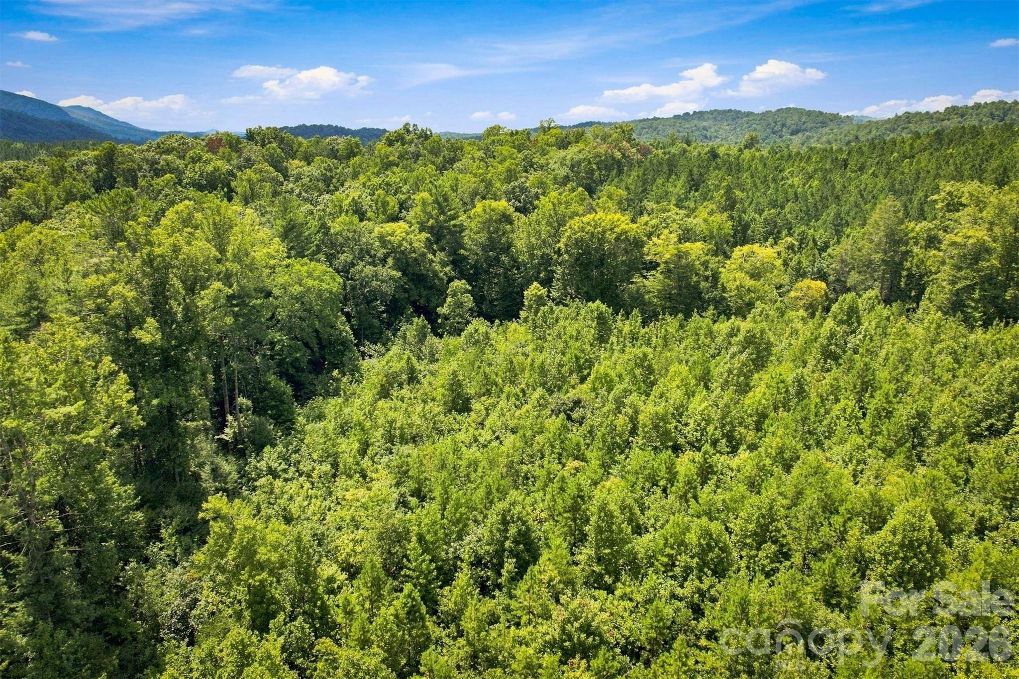 Tbd Wilkesboro Boulevard Property Photo 18