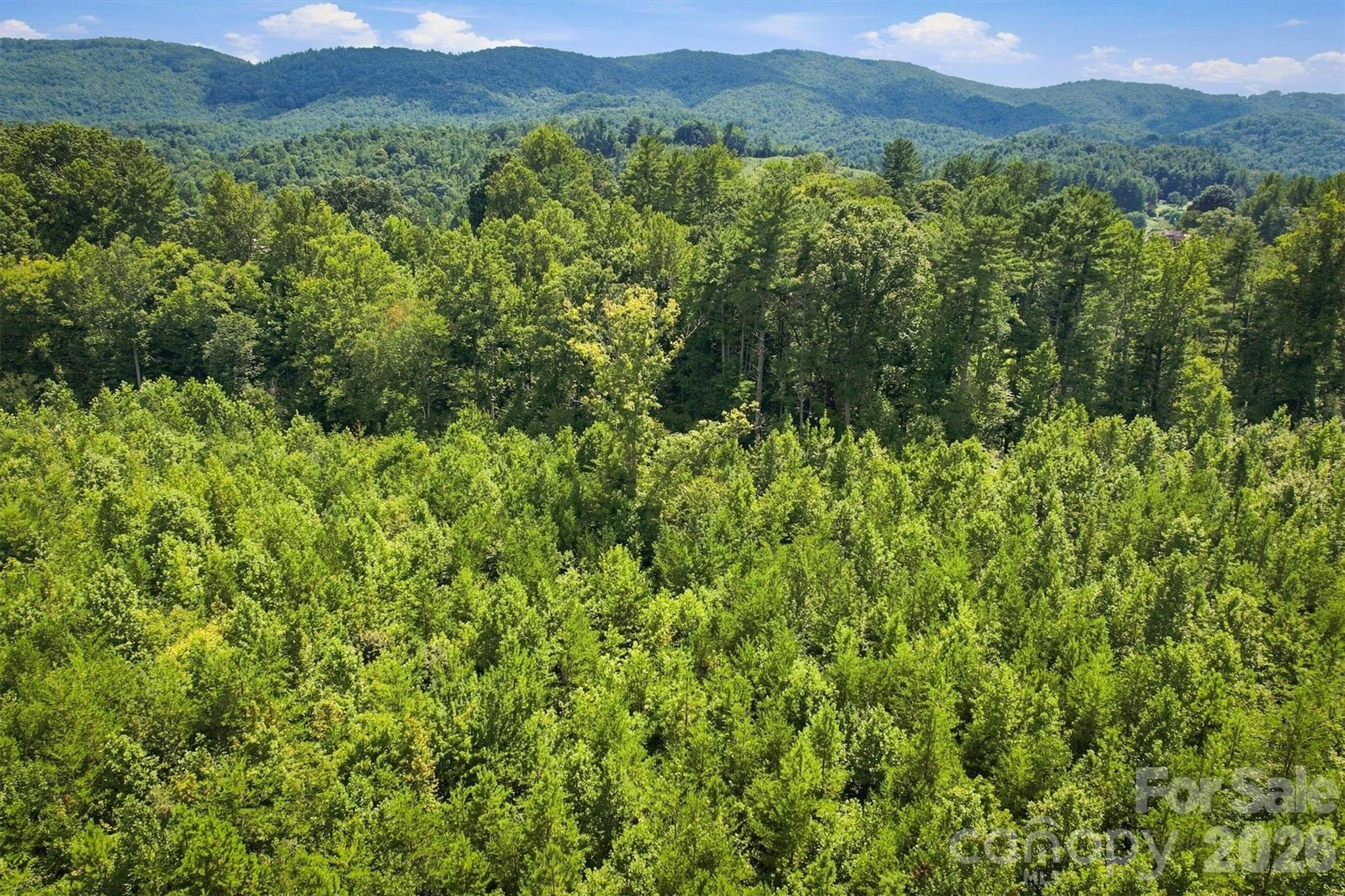 Tbd Wilkesboro Boulevard Property Photo 19