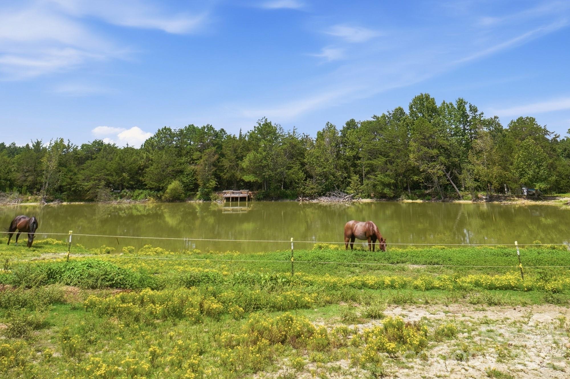 176 Meek Road Property Photo 44