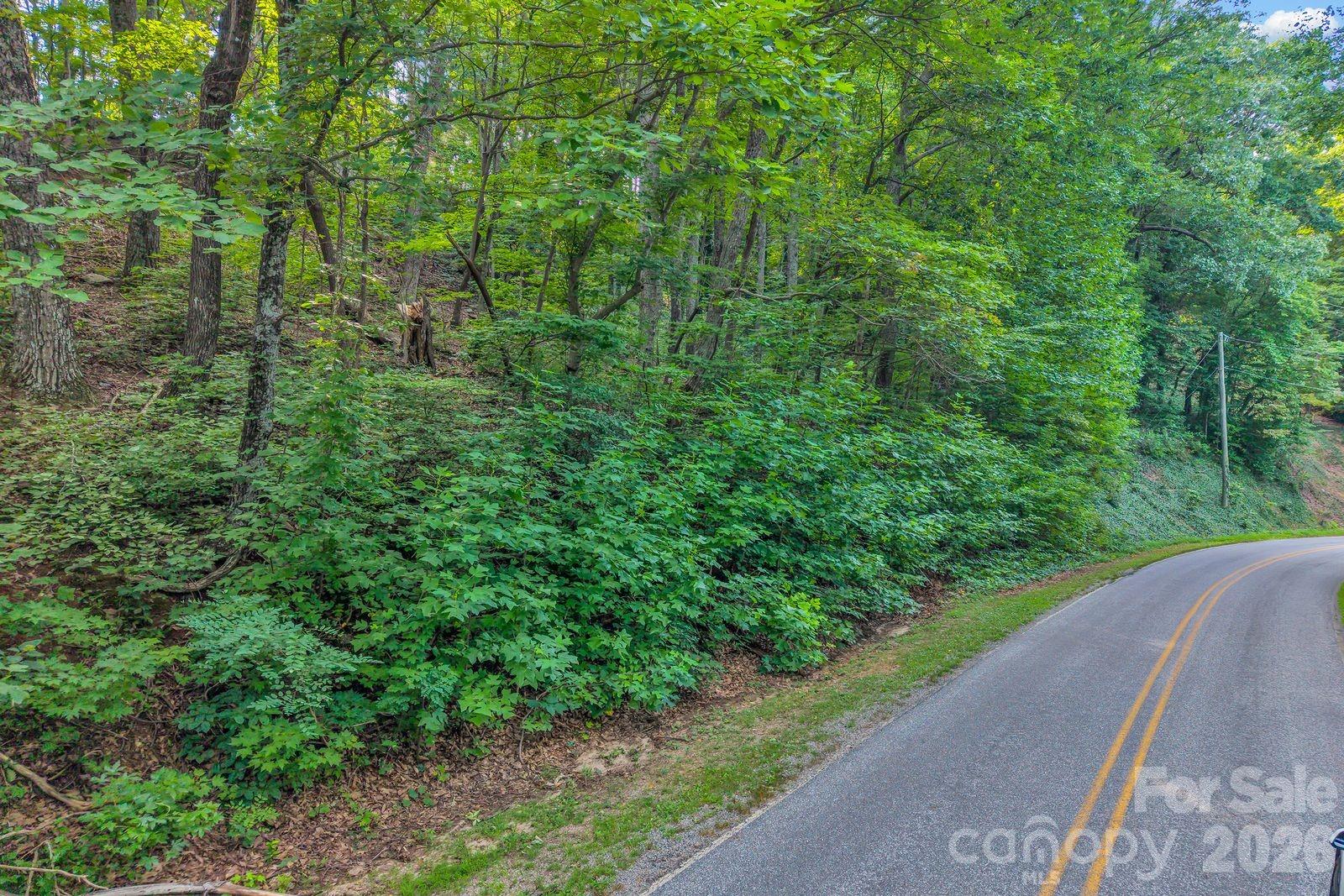 00 Hogback Mountain Road 63 Property Photo 4
