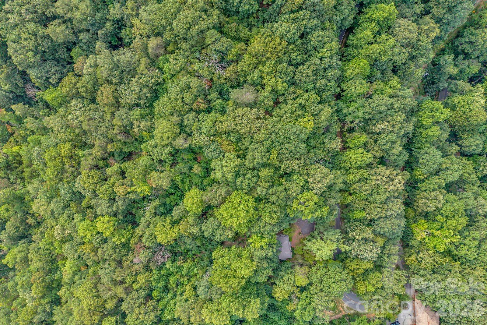 00 Hogback Mountain Road 63 Property Photo 7